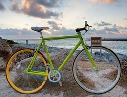 Republic Singlespeed